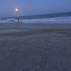 Meet your Posher, Joy